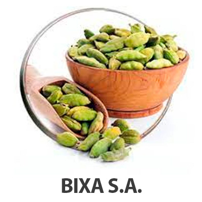 Bixa